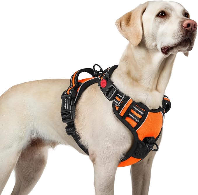 rabbitgoo Dog Harness for Large, Updated Easy On & Off with 3 Buckles | No Pull No Choke, Walking with 2 Clips and Handle, Adjustable Soft Reflective, Orange, Large by rabbitgoo