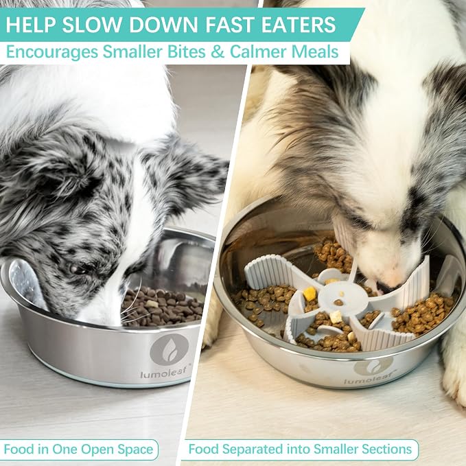 LumoLeaf 2 Pack Slow Feeder Dog Bowl Inserts, Cuttable Silicone Dog Slow Feeders with Suction Cups, Soft Slow Eating Feeder for Dry & Wet Food, Fits Regular & Elevated Bowls, Small Medium Large Dogs - Image 2