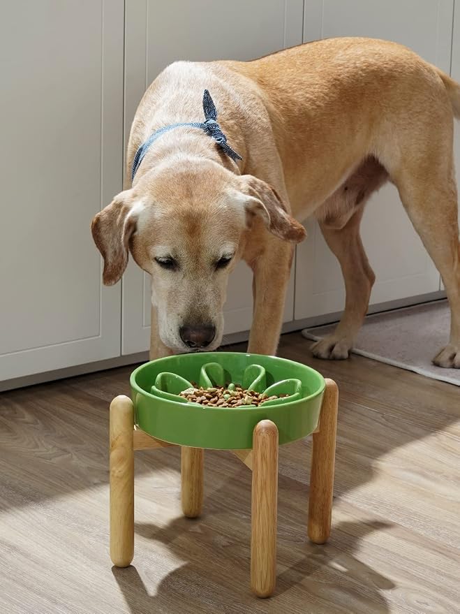 LE TAUCI Ceramic Slow Feeder Dog Bowls Elevated, 3 Cup Raised Bowl with Wooden Stand for Medium Large Breed, Slow Down Eating, Puzzle Dog Food Bowl, Clover Green - Image 3