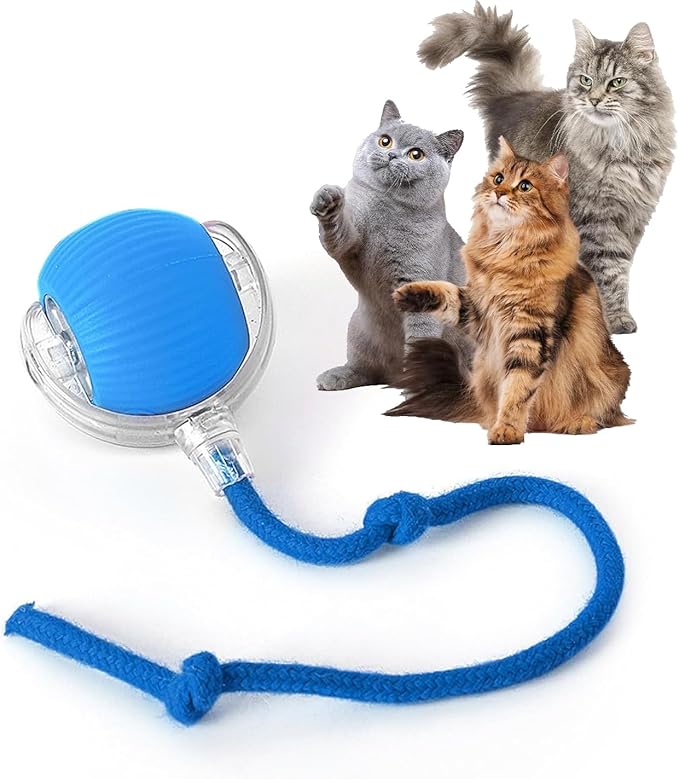 Rocfish Durable Interactive Cat Toys for Indoor Cats (Blue, 01) | Smart Automatic Cat Chase Ball Toy, Upgraded Speedy Tail Kitten Toy for Bored Indoor Adult Pets by Unknown