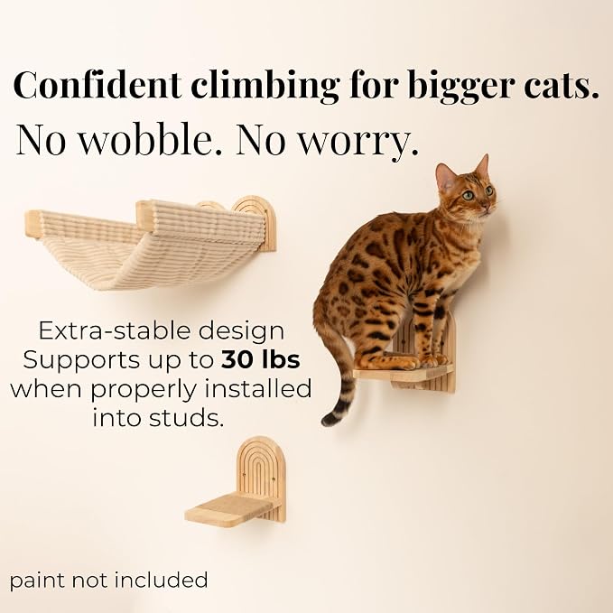 Wall Mounted Cat Hammock Bed with Steps - Wooden Wall Shelf for Cats - Paintable Natural Rubberwood - The Perfect Perch for Cats & Kittens - Image 2