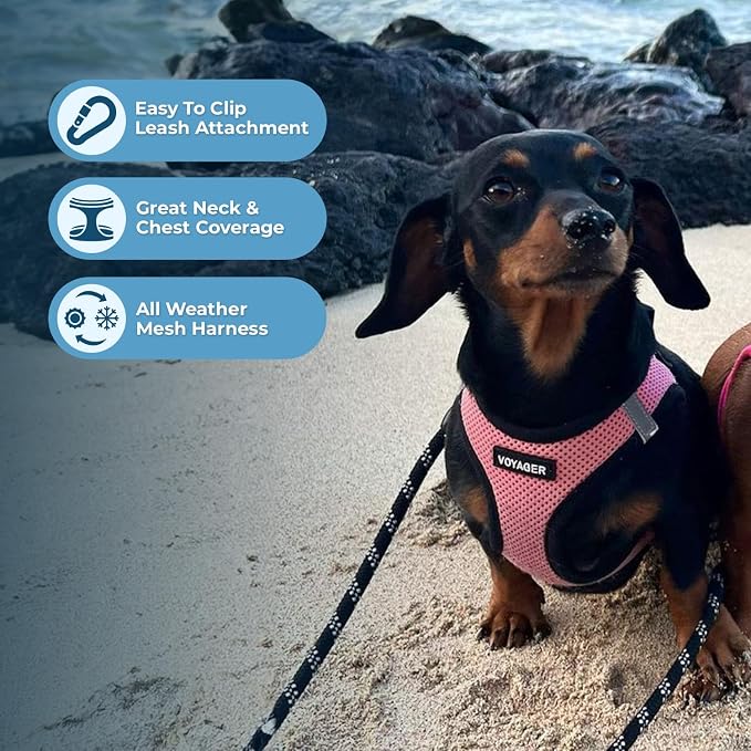 Best Pet Supplies Voyager Step-in Air All Weather Mesh Harness and Reflective Dog 5ft Leash Combo with Neoprene Handle, for Small, Medium and Large Breed Puppies - Pink Base, Medium - Image 6