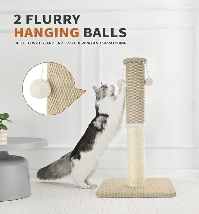Made4Pets Cat Scratching Post with Sisal & Carpet for Indoor Cats, 23.6" | Cat Scratcher with Wide Stable Base, Interactive Hanging Toys, Ideal for Kittens, Small Cats and Everyday Indoor Play - Image 7