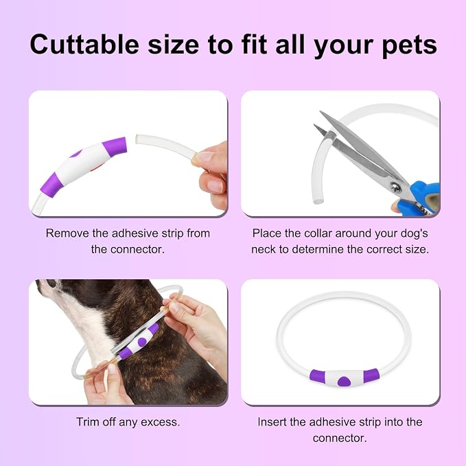 Light Up Dog Collars - Waterproof LED Dog Collar, Glow in The Dark Puppy Collar, TPU Cuttable Lighted Dog Collar for Small Medium Large Dogs (Purple) - Image 4