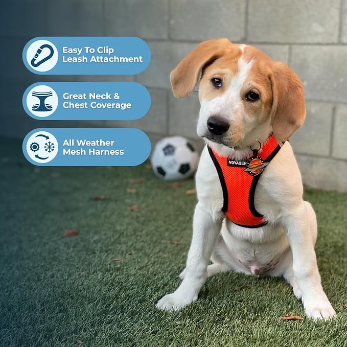 Best Pet Supplies Voyager Step-in Air All Weather Mesh Harness and Reflective Dog 5ft Leash Combo with Neoprene Handle, for Small, Medium and Large Breed Puppies - Orange/Black Trim, Small - Image 5