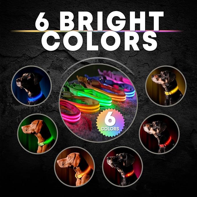 LED Dog Collar USB Rechargeable - Bright & High Visibility Lighted Glow Collar for Pet Night Walking - Weatherproof, in 6 Colors & 6 Sizes (Blue X-Small) - Image 7