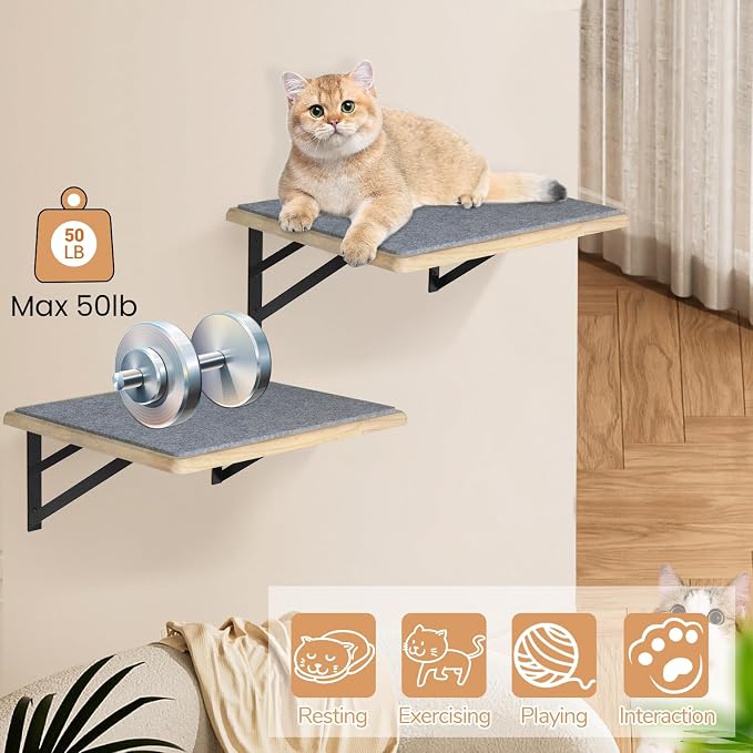 Burlywood Cat Furniture Indoor Set of 2: Wood Shelves with Scratching Pad, Climbing Shelf for Sleeping & Playing, Window Perch for Big Cats - Image 4