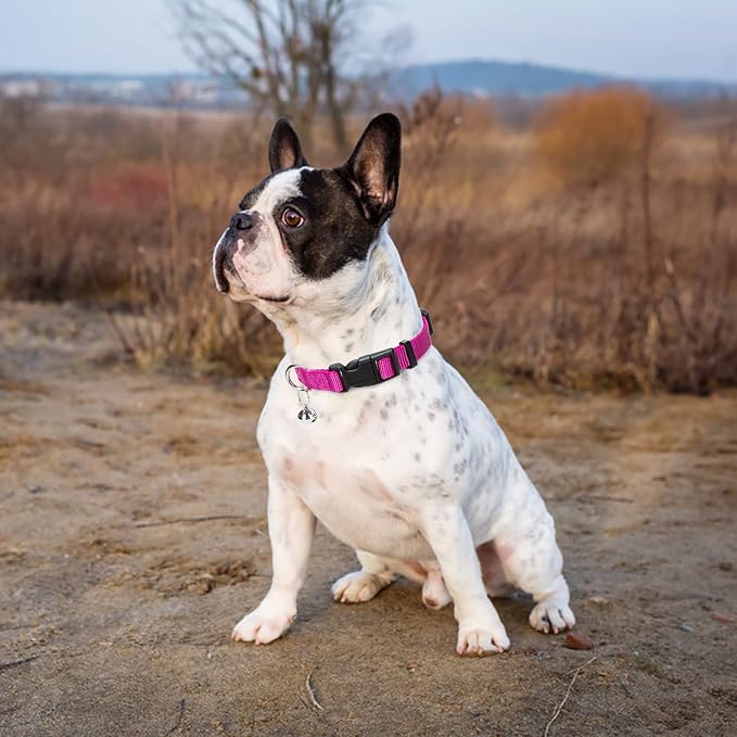 PUPTECK Dog Harness, Collar and Leash Set No Pull for Small Medium Sized | Soft Mesh Puppy Step-in Escape Proof Reflective No Choke Pet Cat Adjustable Walking Vest - Image 7