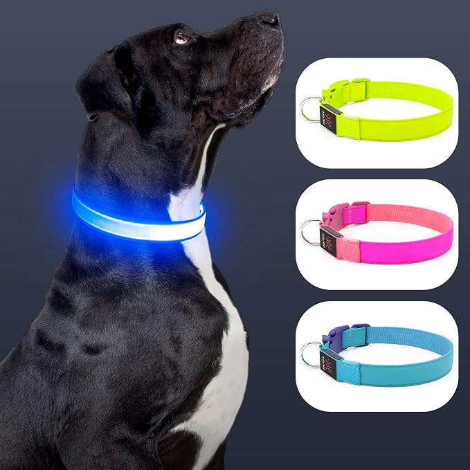 Only Half The Collar Lights LED Dog Collar Light Up Dog Collars USB Rechargeable, Adjustable Size Heavy Duty TPU Nylon Webbing Glow Safety Basic Dog Collars for Large Medium Dogs(L, Royal Blue) - Image 2