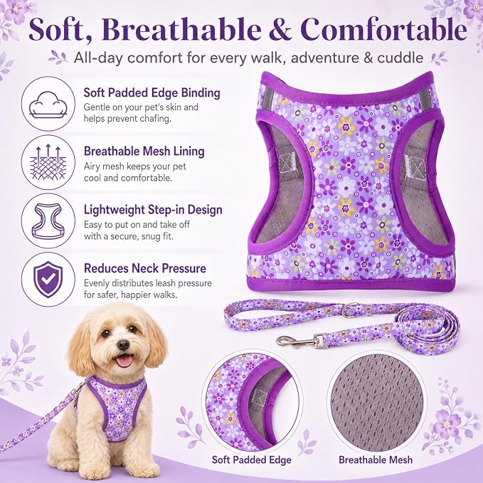 Step in Dog Harness Leash Set- All Weather Reflective No-Pull Floral Pattern Padded Mesh Vest Harness for Cats Puppy Extra-Small Small Medium Large Dogs - Purple Flower - L - Image 2