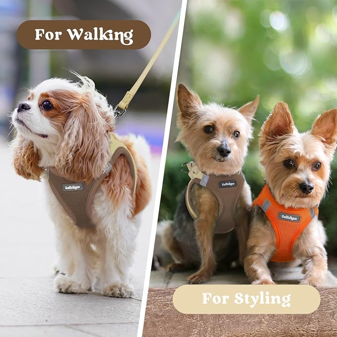 rabbitgoo Step-in Small Dog Harness, Puppy Vest for Small Sized Pet | Easy Put on and off, Lightweight, Soft, Breathable Quick-Dry Air Mesh for Comfortable Secure Walking, Brown & Beige XXS - Image 9