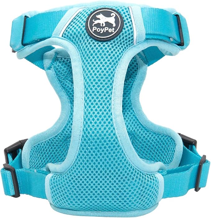 PoyPet Mesh Dog Harness, Reflective Breathable Puppy Vest for Small Dogs | Lightweight, Soft Air Mesh, Back D-ring, Adjustable, Comfortable, Double Padded, No Choke, for Daily Walking, S, Light Blue - Image 2