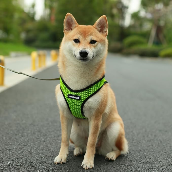 Voyager Step-in Air Dog Vest Harness - Lime Green 2-Tone, X-Small | 13 - 14.5" in Chest, Reflective Bands, All Weather Breathable Air Mesh, Cats Compatible, Lightweight, Fast Drying - Image 7