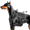 Heavy-Duty Tactical Dog Harness for Large Dogs, No Pull Adjustable Reflective Pet Vest with Molle System, K9 Military-Grade Control for Service Training, Outdoor & 10+ Breeds, Gray, Large by Bruvoalon