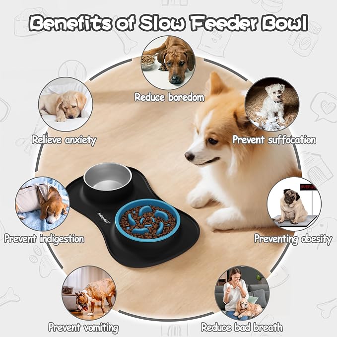 MateeyLife Dog Food and Water Bowl Set 3 in 1, Slow Feeder Dog Bowls & Stainless Steel Water Bowl with Non-Spill Silicone Mat, Cat and Puppy Bowls Pet Dishes for Small Medium Large Breed Anti-Choking - Image 3