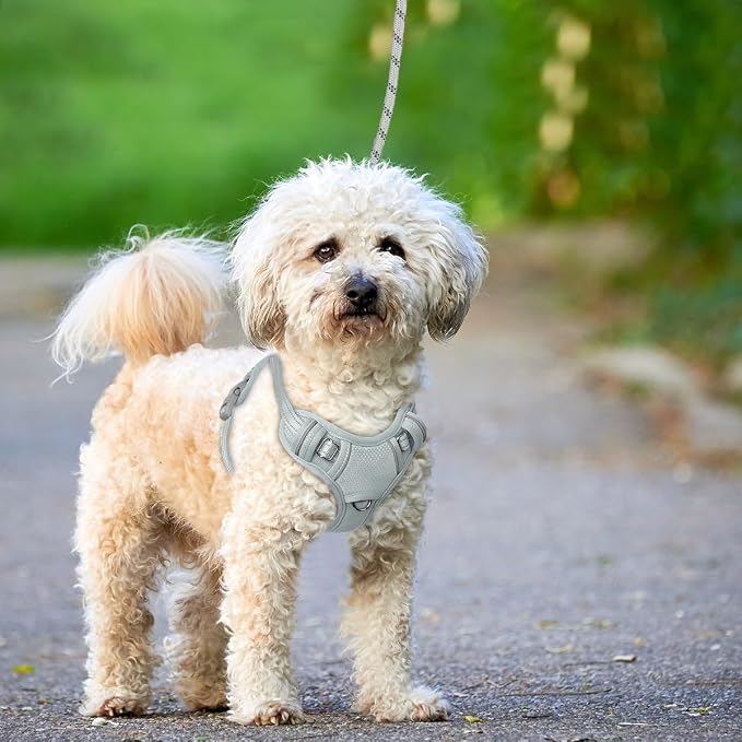 BARKBAY No Pull Dog Harness Large Reflective Dog Harness with Front Clip and Easy Control Handle for Walking Training Running with ID tag Pocket(Grey,S) - Image 9