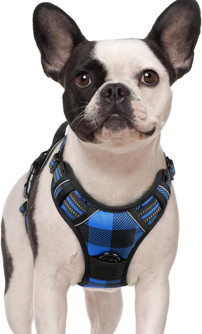 rabbitgoo Dog Harness, No Pull for Small Dogs with 2 Leash Clips, Pet Vest | No Choke with Handle, Adjustable Soft Padded, Reflective, Easy Control for Walking, Blue Plaid, Small by rabbitgoo