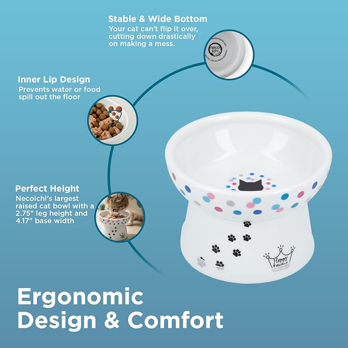 Necoichi Ceramic Raised Cat Food Bowl, 15° Tilted (Colorful Dots, Regular) - Image 3