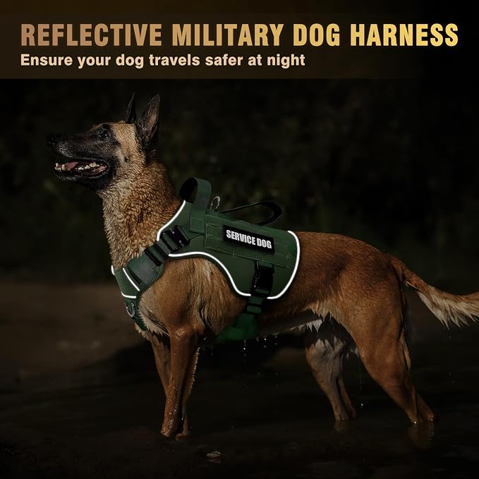 Tactical Dog Harness for Medium Dog, Heavy Duty Service Working MOLLE Vest with 10 Pet Patches, 2X Metal Buckle Vest for Training Hunting Walking - Image 7