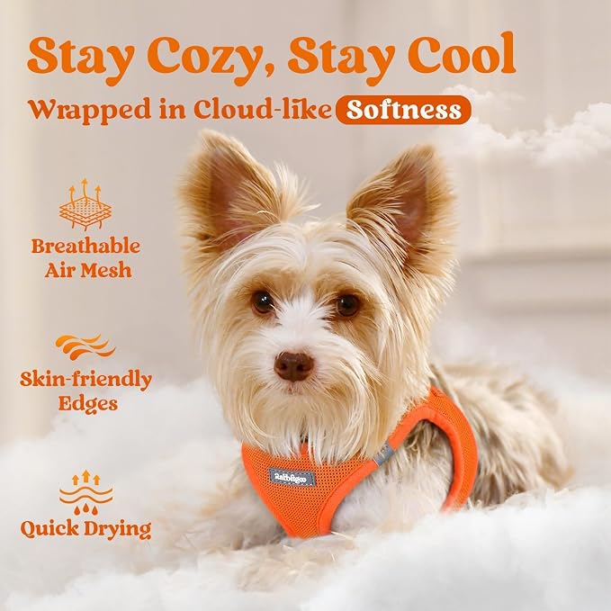 rabbitgoo Step-in Small Dog Harness, Puppy Vest for Small Medium Sized Pet | Easy Put on and off, Lightweight, Soft, Breathable Quick-Dry Air Mesh for Comfortable Secure Walking, Orange L - Image 3