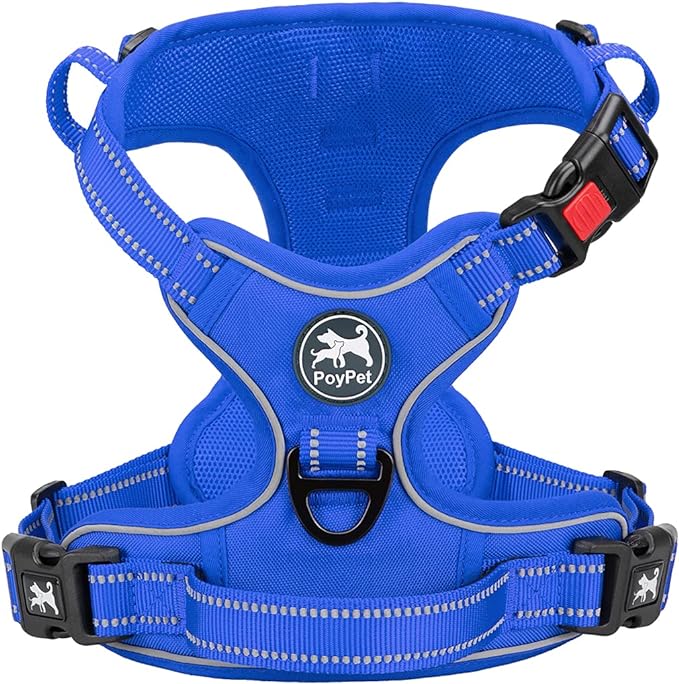 PoyPet No Pull Dog Harness, Reflective Vest with 2 Leash Clips & Handle | Lockable Neck Release Buckle, No Choke, Adjustable, Soft Padded, for Walking Training, Royal Blue, Large by PoyPet