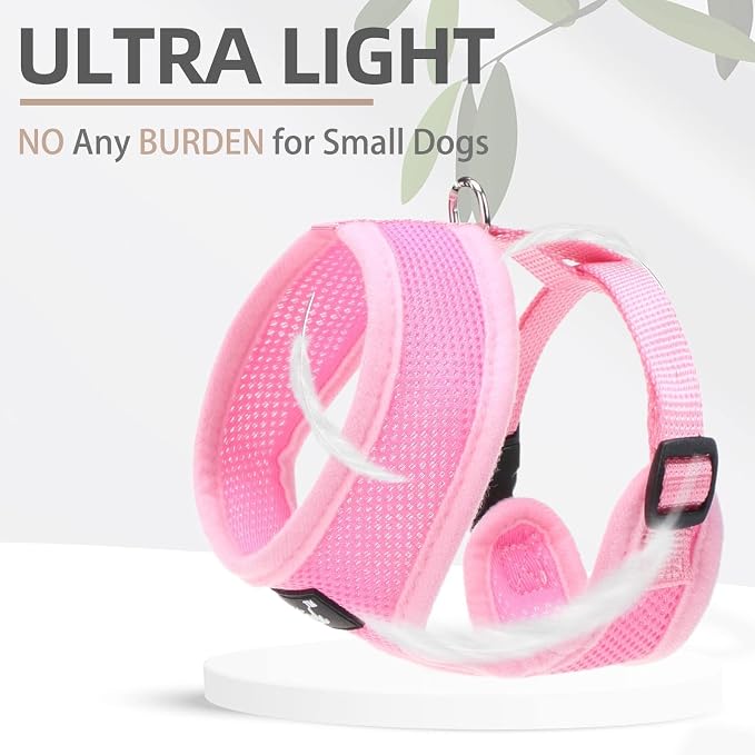 PUPTECK Small Dog Harness and Leash Set No Pull for XS XXS Sized Dogs Puppy | Escape Proof No Choke Pet Cat Adjustable Soft Padded Walking Vest - Image 5
