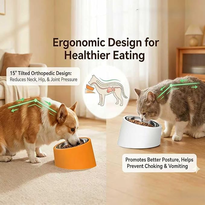 15° Tilted Dog Bowl for Small Dogs Flat-Faced Breeds - Anti-Choke Ergonomic Elevated Feeder Non-Slip Base - 2-in-1 Detachable Stainless Steel Food & Water Bowls - Pure White Clean & Simple (S, White) - Image 2