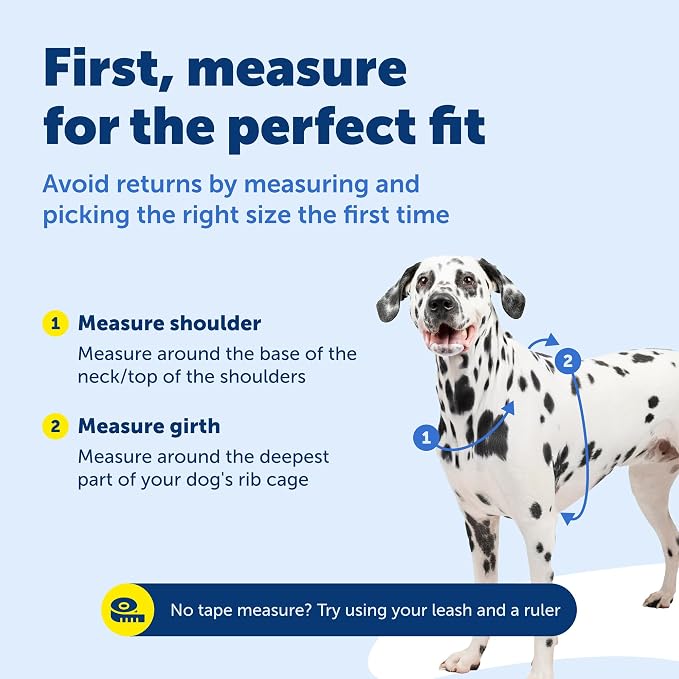 PetSafe 3 in 1 No-Pull Dog Harness - Walk, Train or Travel - Helps Prevent Pets from Pulling on Walks - Seatbelt Loop Doubles as Quick Access Handle - Reflective Accents - Large, Black | Rests on Chest Not Throat to Reduce Pulling, 5 Adjustment Points,... - Image 6