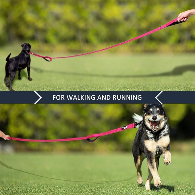 Plutus Pet Double Handle Dog Leash, 5 FT Long, for Medium Large Dogs | Reflective Nylon, Soft Padded 2 Handles, Heavy Duty for Training, Dual Handle Lead, 5 FT x 1”, Pink - Image 6