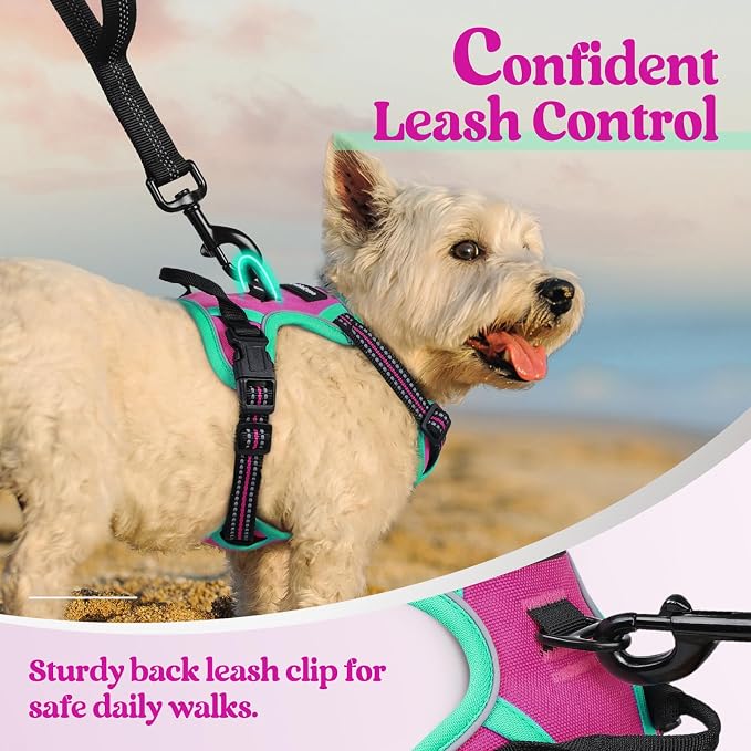 rabbitgoo Dog Harness, No Pull for Small Dogs with 2 Leash Clips, Pet Vest | No Choke with Handle, Adjustable Soft Padded, Reflective, Easy Control for Walking, Hot Pink & Turquoise, X-Small - Image 6
