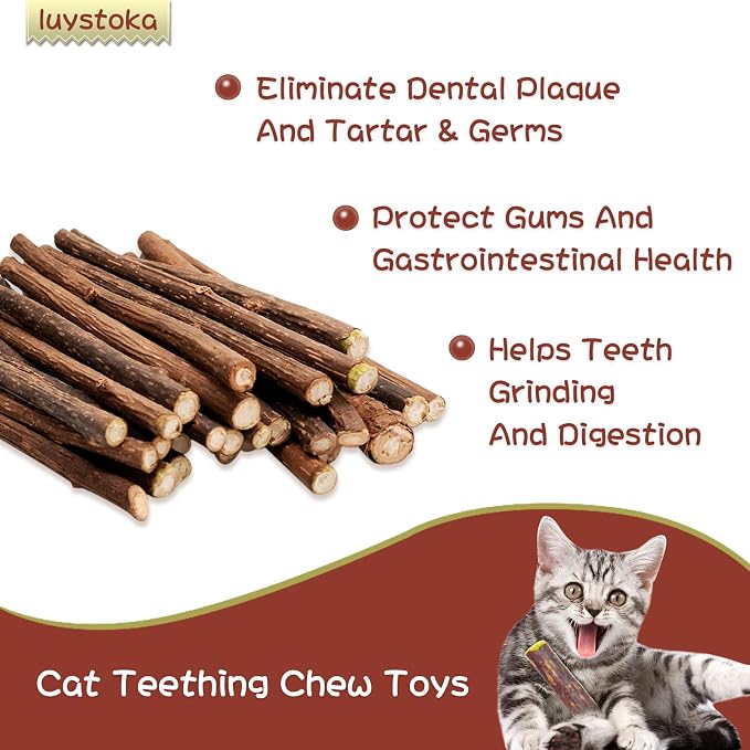 Silvervine Sticks for Cats, 30PCS Kitten Toys Catnip Toys Matatabi Silvervine Sticks Kitty Chew Toys Wooden Stick Kitten Teething Toys Molar Suitable for Cats of All Ages - Image 4
