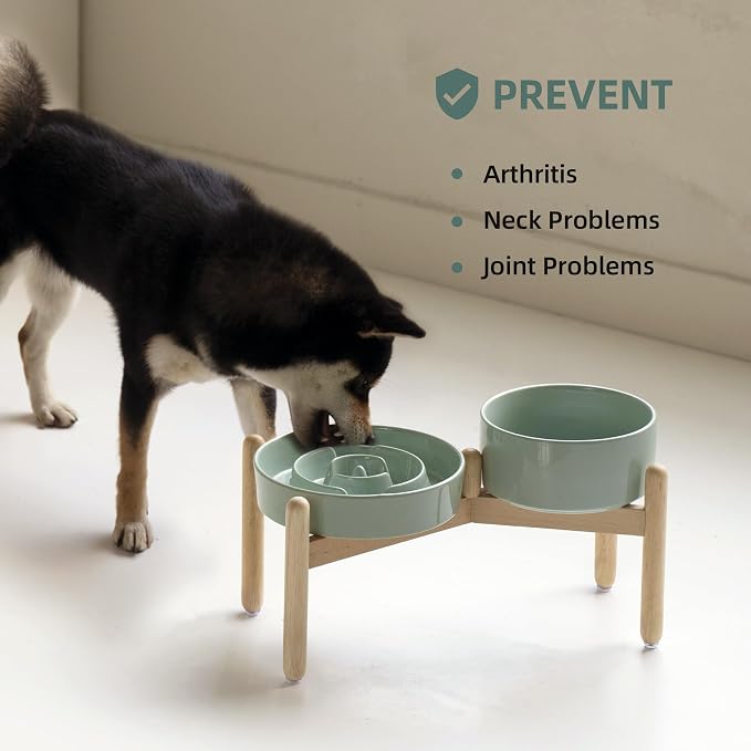 Havniva Elevated Slow Feeder Dog Bowls, Ceramic Dog Bowl Slow Feeder Set | 1.6 Cups Raised Slow Feeder Dog Bowl for Medium Breed, 7.3” Dog Water Bowl with Wooden Stand, Puzzle Dog Food Bowl, Non-slip - Image 6
