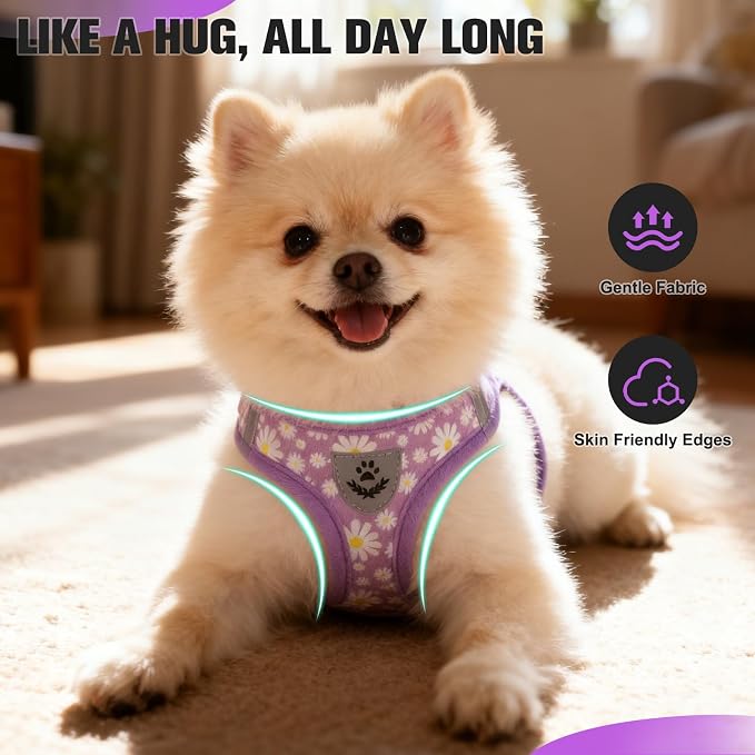 Small Dog Harness and Leash Set - Cute Spring Puppy Harness Leash Dog Collar with AirTag Holder Silicone Case, Soft Padded Step in Pet Vest Reflective for Outdoor Walking, Purple Daisy M - Image 9