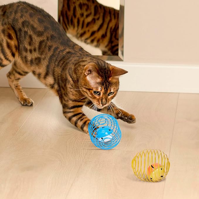 Jecery 5 Pcs Cat Toys Spring,Bell,Multicolor | Interactive Metal Cat Toy, Stretchable Rolling Ball, for Indoor Cats, Colorful Playful Coils, Kitten Pet Supplies - Image 6