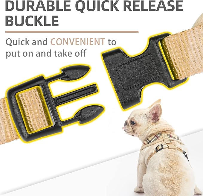 PUPTECK Small Dog Harness and Leash Set No Pull for XS XXS Sized Dogs Puppy | Escape Proof No Choke Pet Cat Adjustable Soft Padded Walking Vest - Image 4
