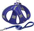 AIITLE Dog Harness and Leash Set, Step-in Puppy Pet Vest, Royal Blue XXXS | Light, Soft, Breathable Air Mesh, Escape-Proof, Easy on and Remove with Hook & Loop, Secure Reflective for Walking by AIITLE-FORPETSBETTERLIFE
