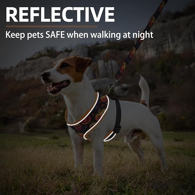 PUPTECK Small Dog Harness and Leash Set No Pull for XS XXS Sized Dogs Puppy | Escape Proof No Choke Pet Cat Adjustable Soft Padded Walking Vest - Image 6