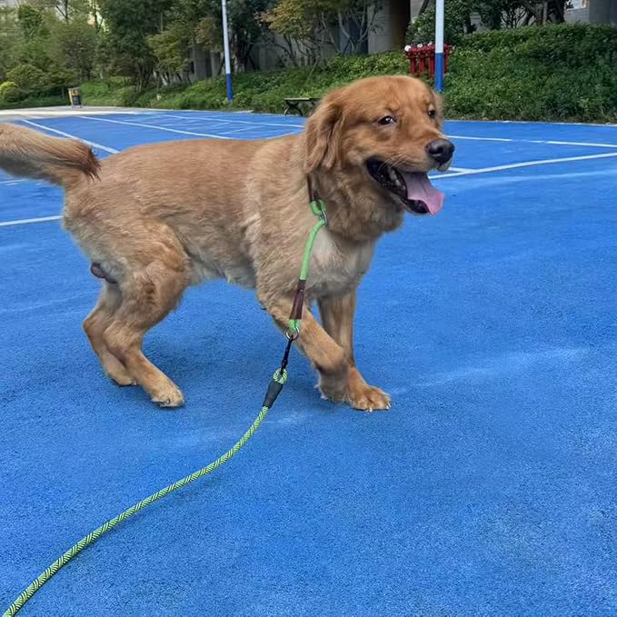 MayPaw Heavy Duty Rope Dog Leash, 3/4/5/6/7/8/10/12/15 FT Nylon Pet Leash, Soft Padded Handle Thick Lead Leashes for Large Medium Dogs (Green Black, 1/2" * 8') - Image 6