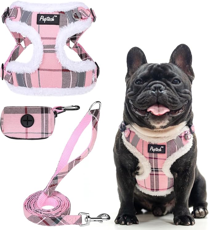 PUPTECK Dog Harness and Leash Set Medium Sized, Step in No Pull Adjustable Puppy Cat Harness Reflective Pet Vest by PUPTECK