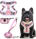 PUPTECK Dog Harness and Leash Set Medium Sized, Step in No Pull Adjustable Puppy Cat Harness Reflective Pet Vest by PUPTECK