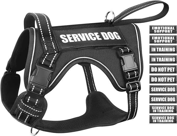 Tactical Dog Harness, No Pull Dog Harness for Medium Large Dogs with Handle & Molle, Military Service Dog Vest Harness in Training Pet Harness for Small Dogs by WINSEE