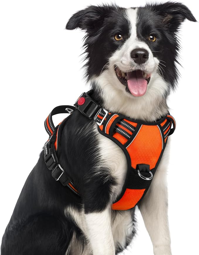 rabbitgoo Dog Harness Medium Sized, No Pull 3 Buckles Easy On & Off | Soft Padded, Walking with Control Handle, Adjustable and Reflective, Orange, Medium by rabbitgoo