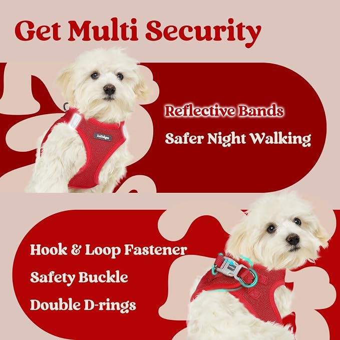 rabbitgoo Step-in Small Dog Harness, Puppy Vest for Small Sized Pet | Easy Put on and off, Lightweight, Soft, Breathable Quick-Dry Air Mesh for Comfortable Secure Walking, Red XXS - Image 6