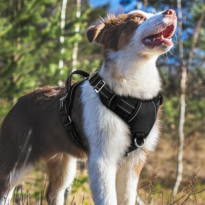 rabbitgoo Dog Harness Medium Sized, No Pull 3 Buckles Easy On & Off | Soft Padded, Walking with Control Handle, Adjustable and Reflective, Black, Medium - Image 8