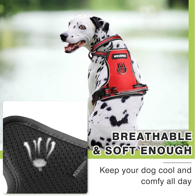 Dog Harness No Pull, Pet Harnesses with Dog Collar, Adjustable Reflective Oxford Outdoor Vest, Front/Back Leash Clips for Small, Medium, Large, Extra Large Dogs, Easy Control Handle for Walking - Image 8