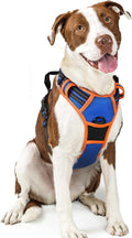 rabbitgoo Dog Harness, No Pull for Large Dogs with 2 Leash Clips, Pet Vest | No Choke with Handle, Adjustable Soft Padded, Reflective, Easy Control for Walking, Blue & Orange, Large by rabbitgoo