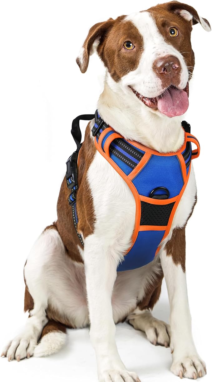 rabbitgoo Dog Harness, No Pull for Large Dogs with 2 Leash Clips, Pet Vest | No Choke with Handle, Adjustable Soft Padded, Reflective, Easy Control for Walking, Blue & Orange, Large by rabbitgoo