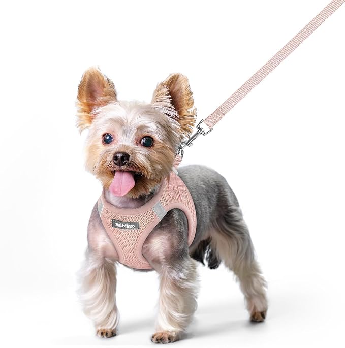 rabbitgoo Dog Harness Small Sized and Leash Set, Step-in Puppy Pet Vest | Light, Soft, Breathable Air Mesh, Easy on and Remove with Hook & Loop, Secure Reflective for Walking, Pink XS by rabbitgoo