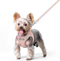 rabbitgoo Dog Harness Small Sized and Leash Set, Step-in Puppy Pet Vest | Light, Soft, Breathable Air Mesh, Easy on and Remove with Hook & Loop, Secure Reflective for Walking, Pink XS by rabbitgoo