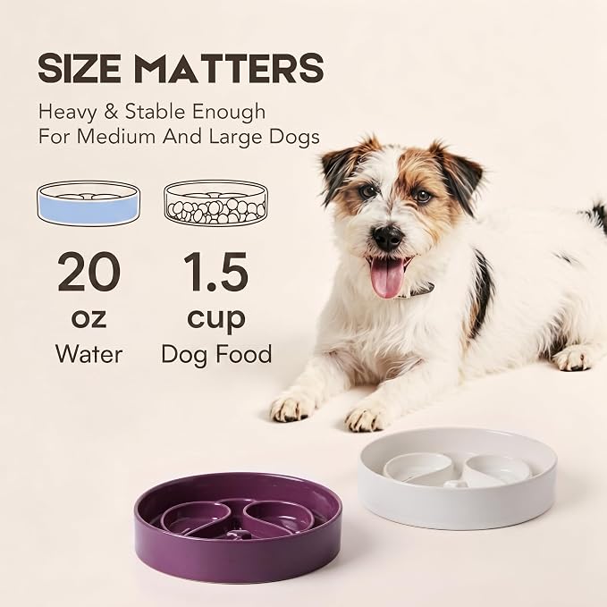 Ceramic Slow Feeder Dog Bowl, Dog Bowls 1.5 Cup Slow Feeding Bowl, Anti -Slip Pet Food Dish for Small and Medium Breed, Puzzle Dog Food Bowl for Fast Eater（White） - Image 2